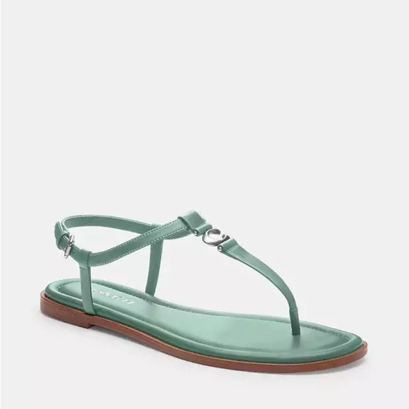 Coach Blue T-Strap Sandals with Metallic Detail - Picture 4 of 10